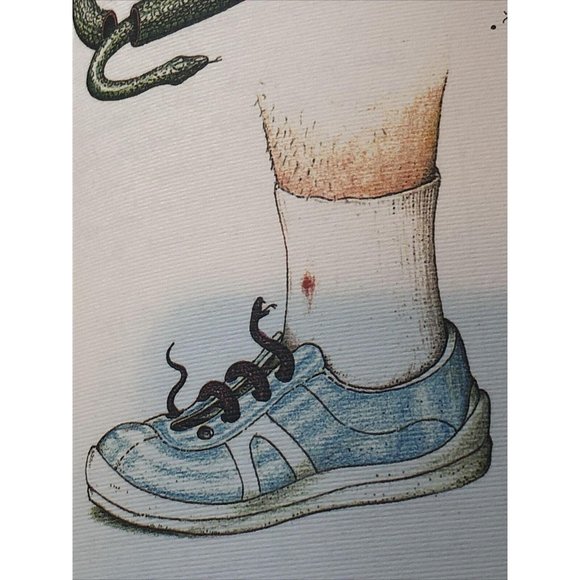 Luigi Serafini Codex Seraphinianus 13" x 9" No. 86 - Picture 4 of 8